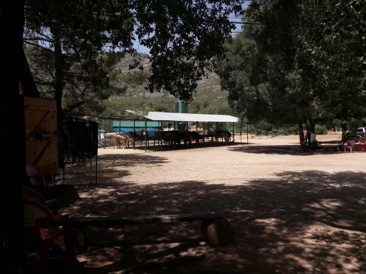 Sierra De Cazorla Villa Arroyo Frio Exterior photo